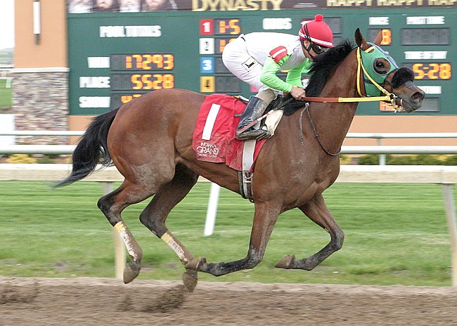 Lady Fog Horn Named 2015 ITOBA Horse Of Year - Camden Training Center